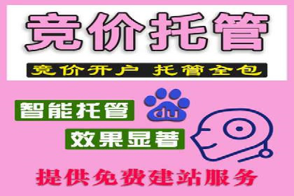 揭秘sem百度竞价背后的成功秘诀与案例
